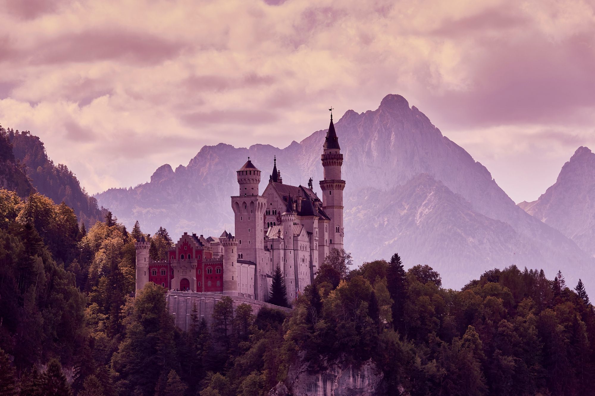 Castle on a mountain surrounded by trees.