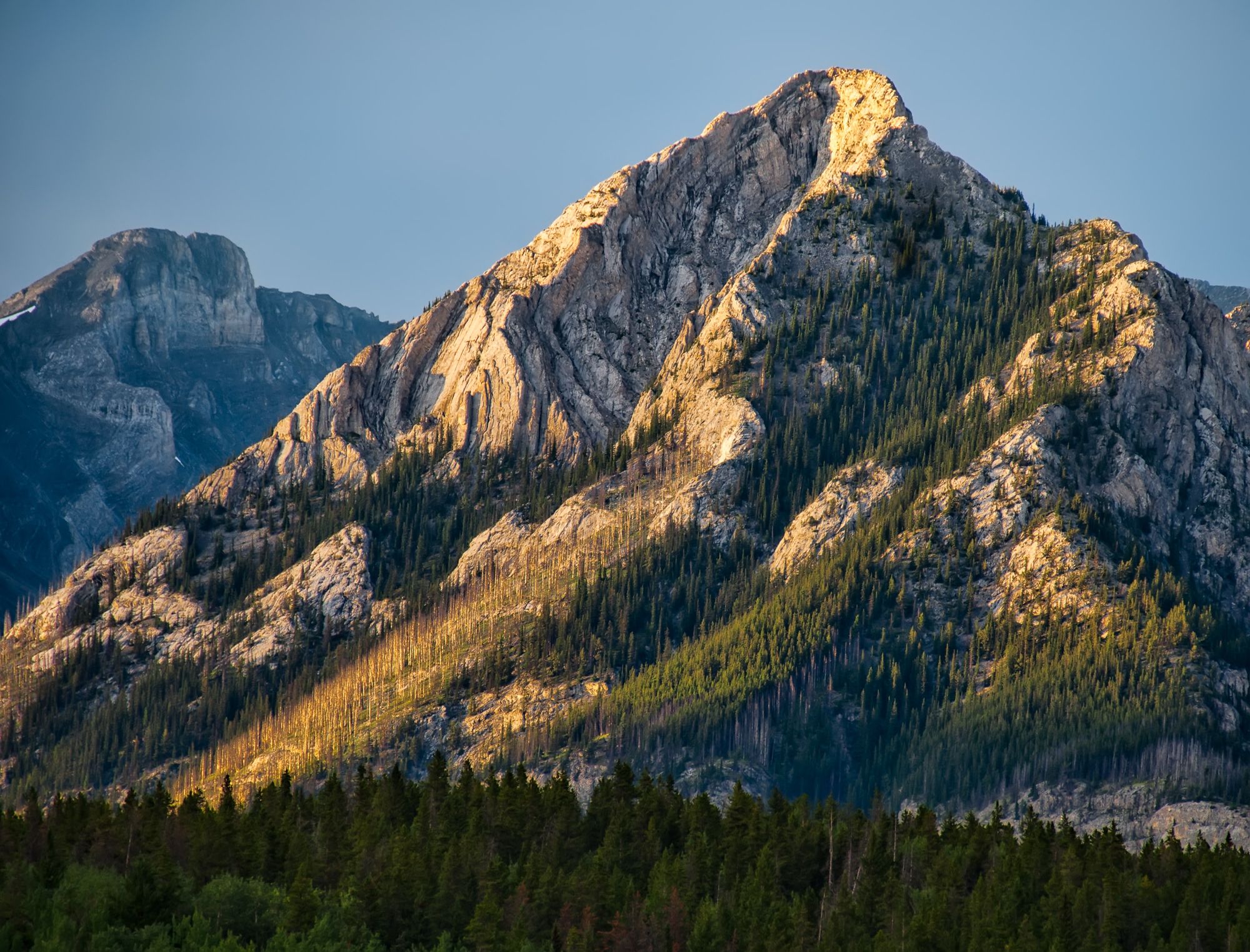 Mountain covered in trees and sunshine.