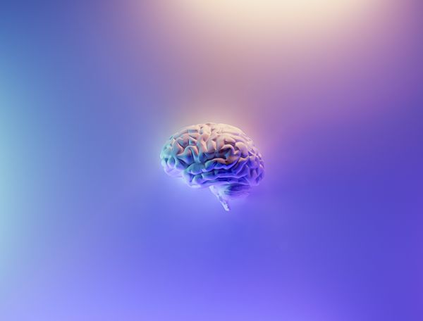 Brain floating on a colorful background.